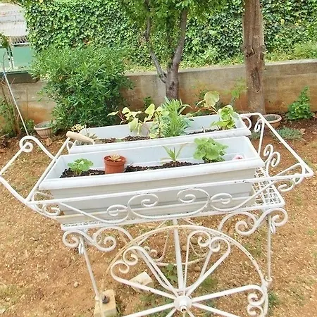 Hotel Bakmaz Vodice